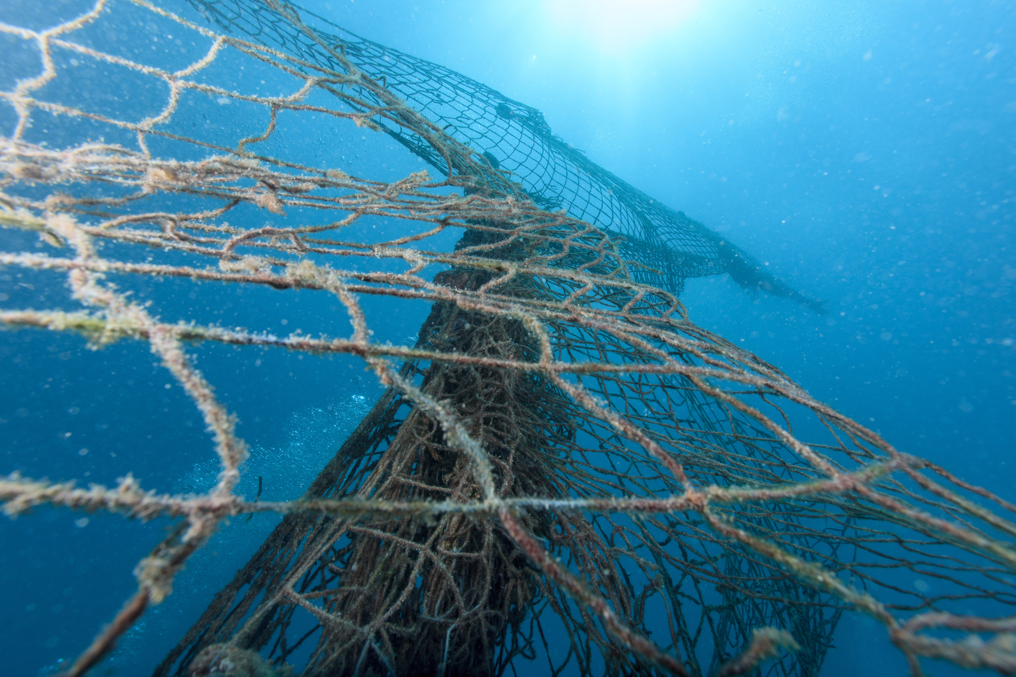 Ghost Fishing: an ecological and socio-economic challenge - MantaWatch